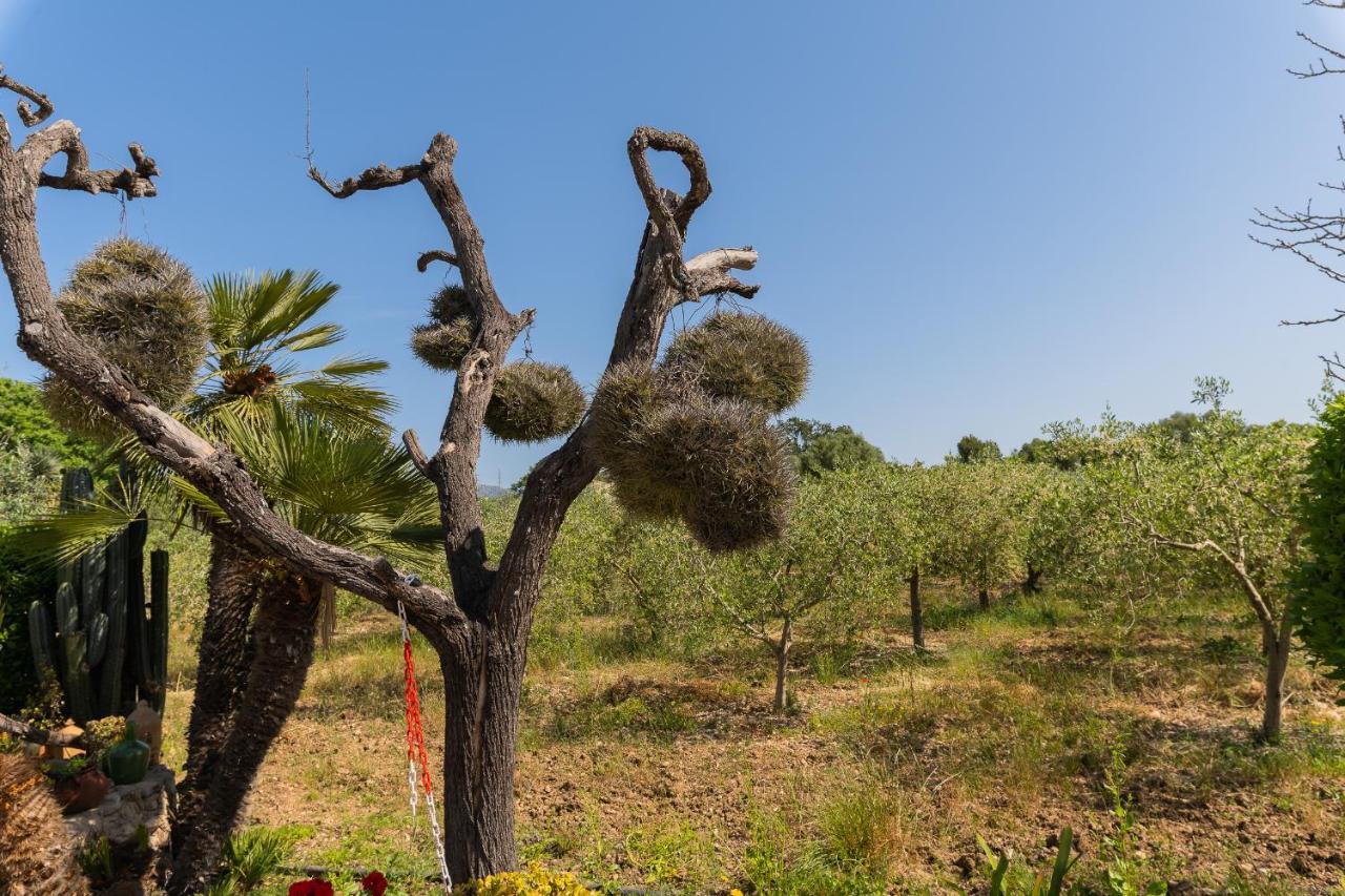 Finca Sa Sini بوغر المظهر الخارجي الصورة